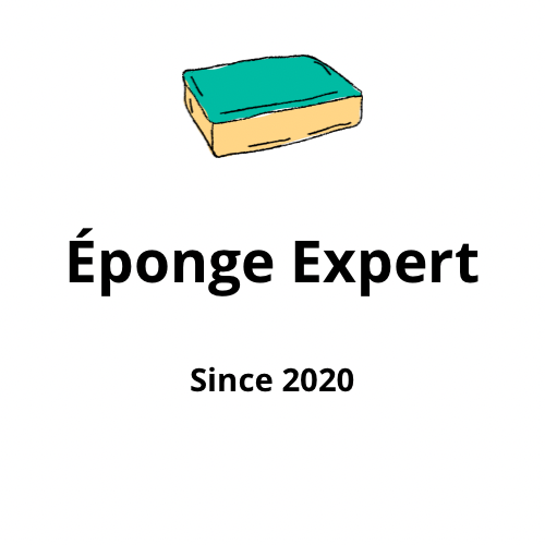 Logo Éponge Expert